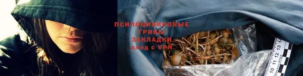 гидропоника Горнозаводск