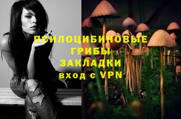 бутират Дмитриев