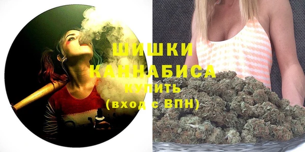 твердый Горняк