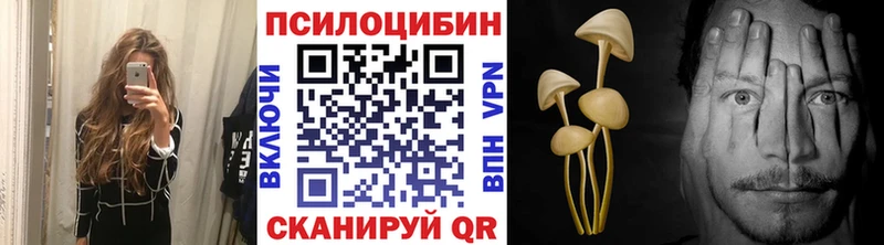 Галлюциногенные грибы Psilocybine cubensis  Купить где  Лобня 